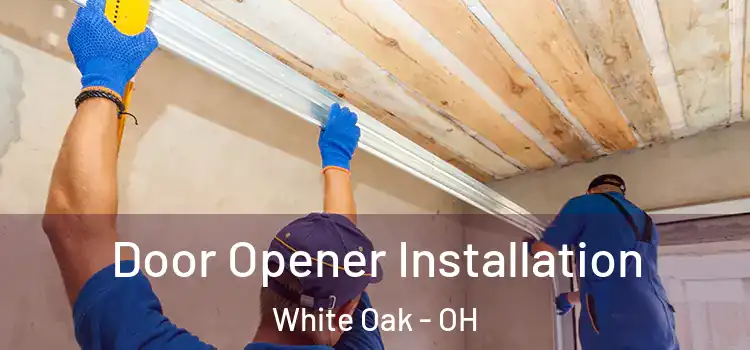  Door Opener Installation White Oak - OH
