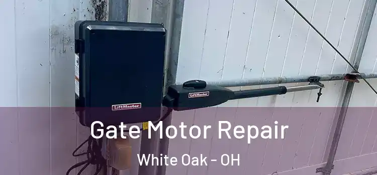 Gate Motor Repair White Oak - OH
