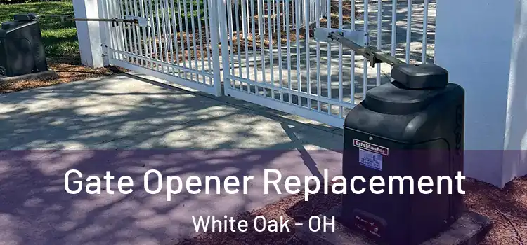 Gate Opener Replacement White Oak - OH