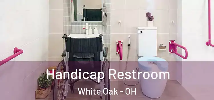  Handicap Restroom White Oak - OH