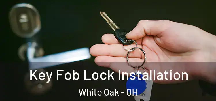 Key Fob Lock Installation White Oak - OH