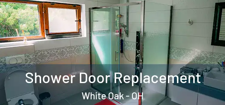 Shower Door Replacement White Oak - OH